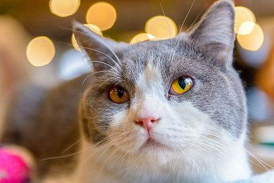 《最终幻想7：重制版》第三部将为新角色谢幕